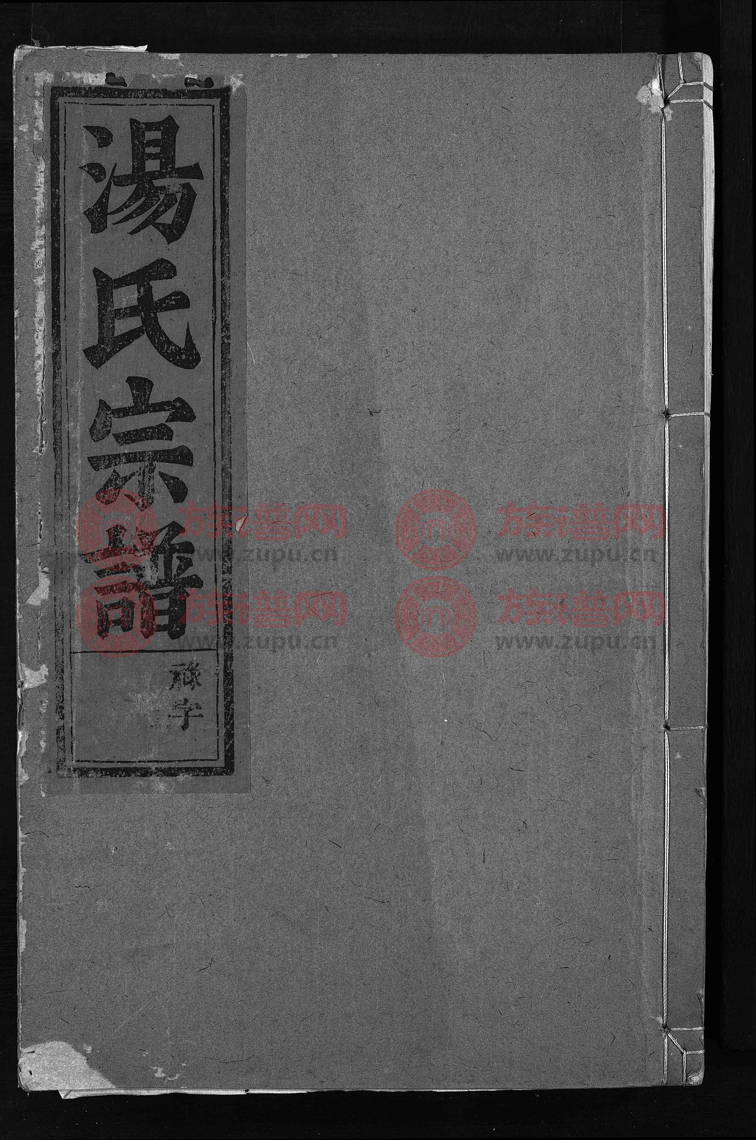 汤氏宗谱 [4卷]第3本