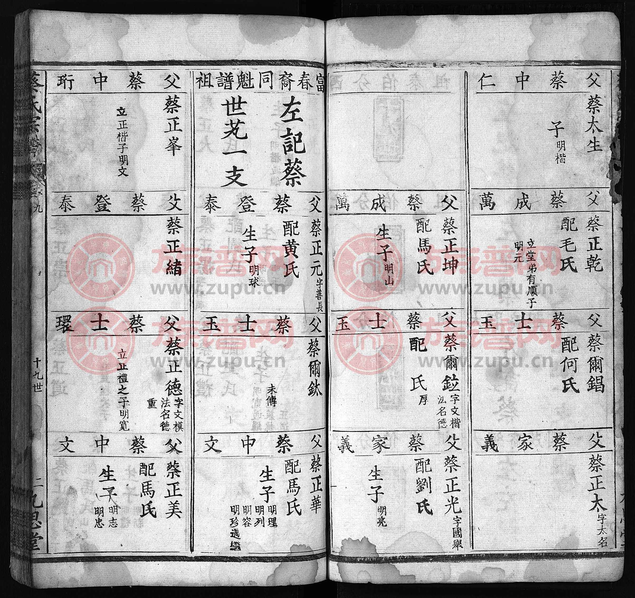 蔡氏宗谱[12卷]第11本