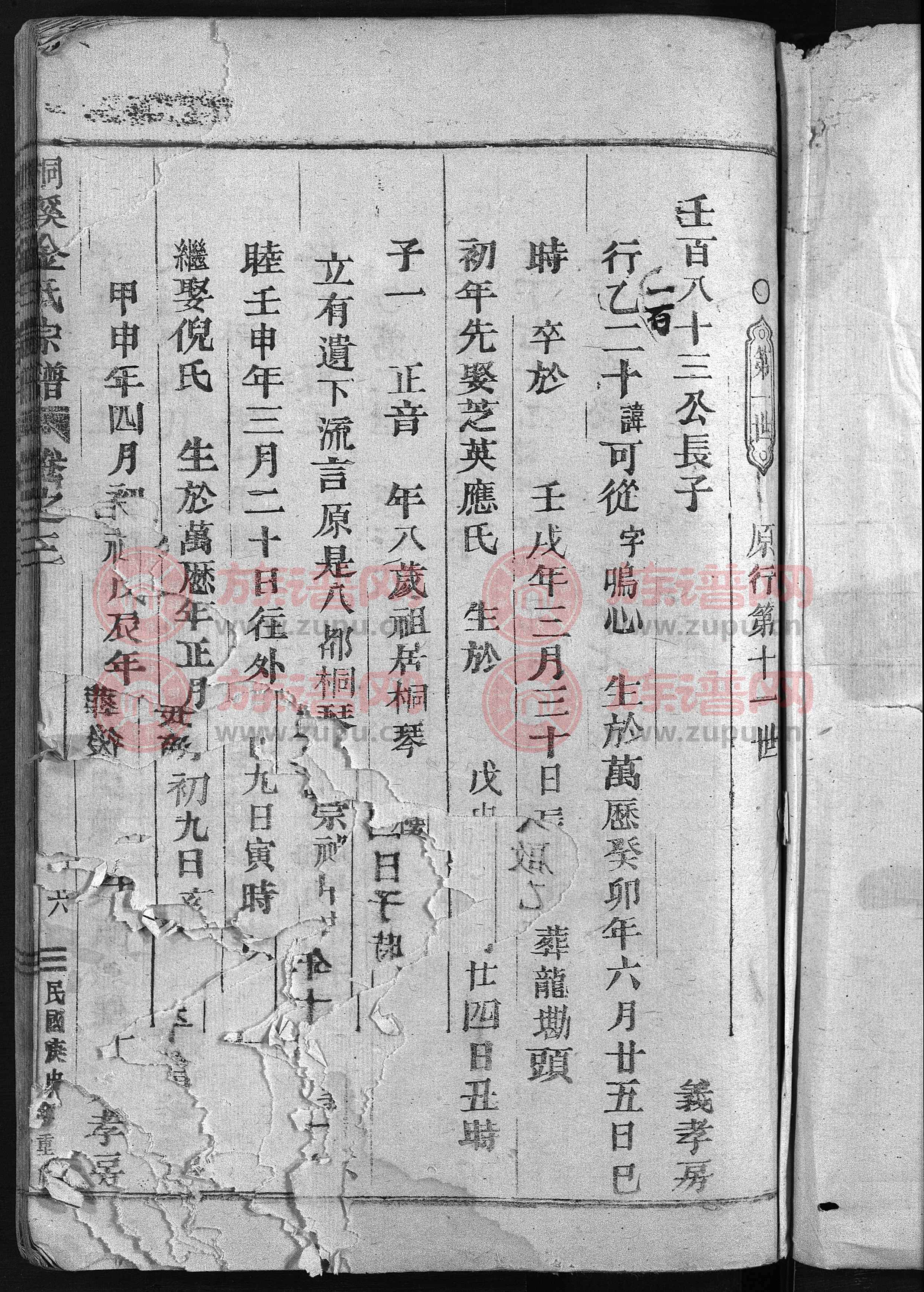 金姓是皇族血统吗